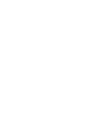 mountain band Z Z